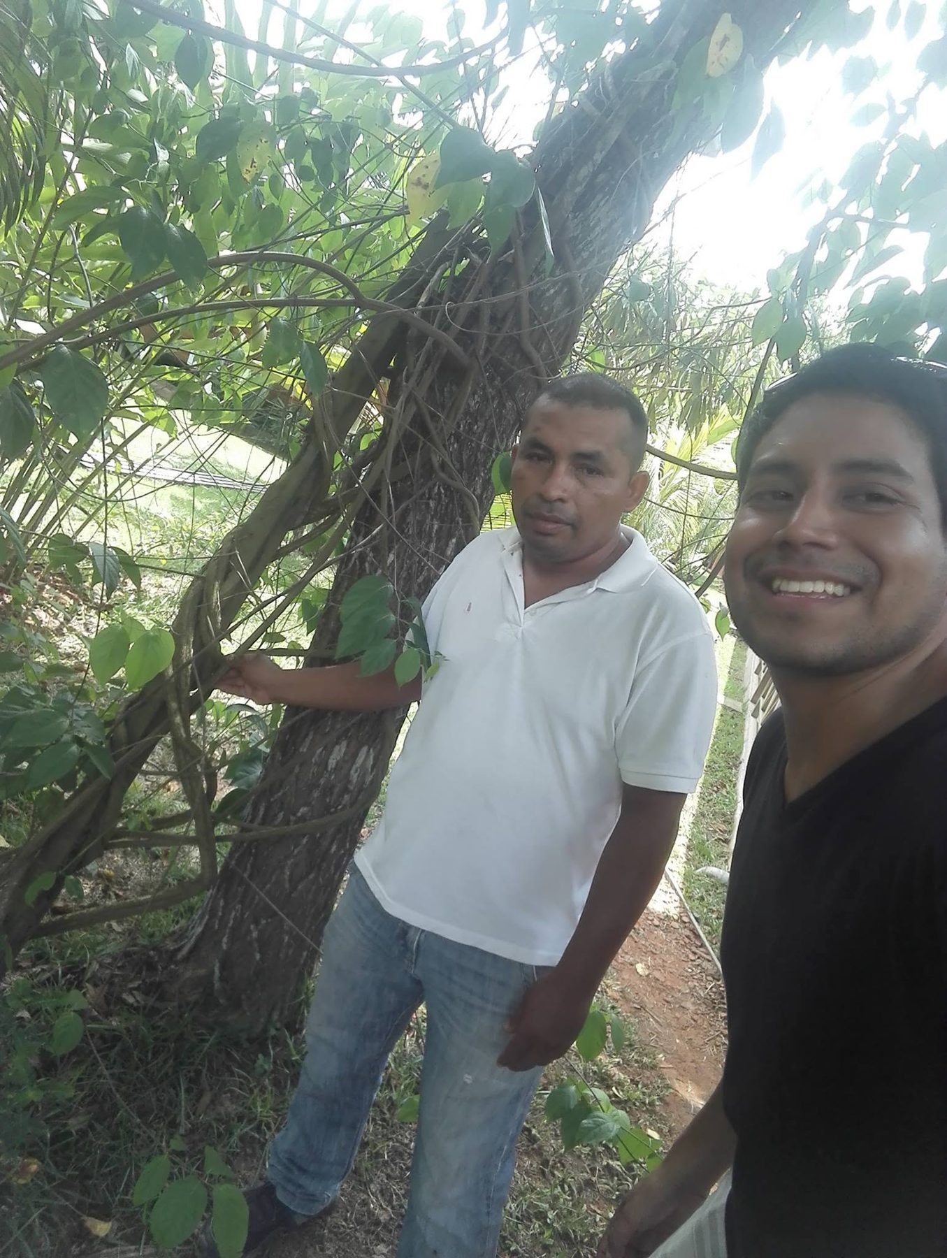 Javier conversando junto a una liana de ayahuasca